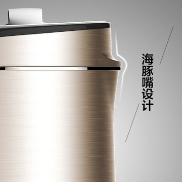 九阳（Joyoung）DJ13R-P10豆浆机破壁免滤容量1.3L智能全自动双预约 多功能 米糊机 辅食机 豆浆机