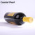 澳洲原酒进口红酒COASTEL PEARL澳大利亚飞鸟美乐干红葡萄酒(750ml)第3张高清大图