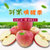 山东烟台富士苹果(普通五斤装（约11-13个）)第2张高清大图