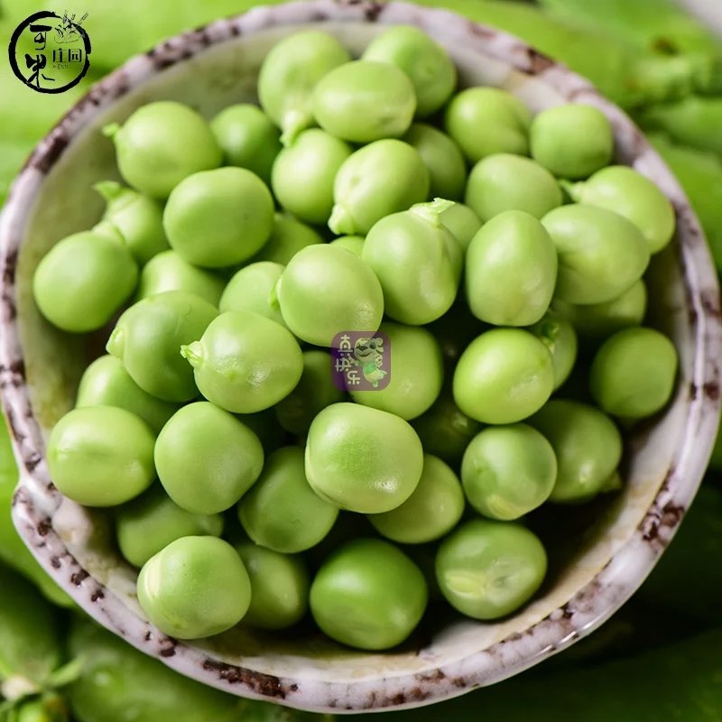 云南新鲜带壳豌豆荚青豌豆角农田现采现发新鲜蔬菜甜豌豆5斤包邮2500g