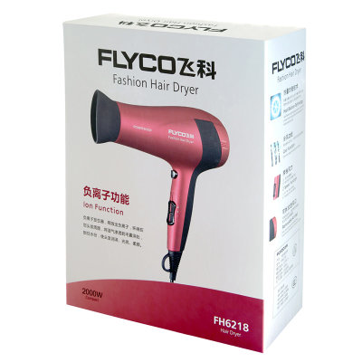 飞科（FLYCO）FH6218电吹风