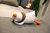 【妃奥娜家纺】可爱加油鸭玩偶 时尚创意卡通网红鸭公仔 爱你鸭毛绒玩具(开心鸭 支持7天退换货)第2张高清大图