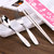 拜格便携式餐具套装 筷子、叉、勺学生餐具便携式餐具(粉色筷子叉勺套)第3张高清大图