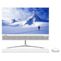 联想（Lenovo）AIO 510 21.5英寸致美一体机台式电脑（E2-9010 4G 1T wifi 蓝牙 无光驱）(白色 官方标配)