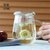 物生物蘑菇杯茶杯韩版创意潮流透明玻璃杯带把便携花茶泡茶办公杯380ML /420ML/500ML(灰色)第4张高清大图