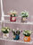 北欧创意仿真花绿植物盆栽摆件客厅仿生假花摆设小盆景桌面装饰第4张高清大图