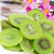 卡比兽猕猴桃干120g猕猴桃干奇异果片罐装果脯蜜饯零食水果干(自定义)第3张高清大图