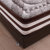 思巧 床垫 弹簧床垫 双人 1.5 1.8米席梦思 乳胶床垫285(图片色 120*200)第4张高清大图