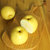 正宗砀山梨 新鲜四个梨 产地直发脆甜多汁 整箱2.5斤包邮(正宗砀山梨)第4张高清大图