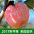 陕西红富士新鲜采摘苹果约5斤包邮(5斤（70mm-75mm))第3张高清大图