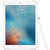 Apple iPad Pro 9.7英寸MLN02CH/A（256G/银白色/WLAN版）第4张高清大图