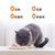 佩妮6+1猫罐头猫咪零食主食罐头增肥发腮营养补钙湿粮170g*6整箱(金枪鱼鸡肉)第4张高清大图