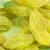 新疆果业 休闲零食 天山莲 吐鲁番绿葡萄干大粒120gx3袋第2张高清大图