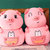 爱迷糊暖手抱枕猪娃娃 新款2019猪年吉祥物毛绒玩具儿童礼物(深粉色大眼睛 高50cm)第4张高清大图