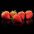 【空运发货】红颜99草莓当季新鲜水果脆嫩多汁果香浓郁(大果30g 2斤装)第5张高清大图