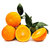 静益乐源淅川蜜橘橘子 新鲜水果 1250g装第2张高清大图