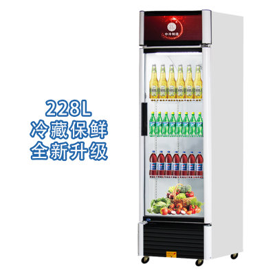 中冷（ZL）单门展示柜立式冷藏柜保鲜柜水果保鲜柜啤酒柜厨房柜冷柜 商用展示柜饮料柜冰箱冰柜(LC-228升)