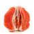 【罗花岭-产地直销】正宗福建平和琯溪蜜柚 红心柚子约10斤（3-5个左右）(绿色食品 水果)第3张高清大图