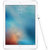 Apple iPad Pro 9.7英寸MM1A2CH/A（256G/玫瑰金/WLAN版）第4张高清大图