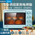美的/Midea电烤箱25L家用多功能上下独立温控烘烤烤箱MG25FEF(25L新款+烘焙礼包)第3张高清大图