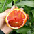 湖北塔罗科血橙 新鲜水果橙子 约2.5kg(血橙 5斤)第2张高清大图