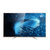 Haier海尔 LS65A51G 65英寸4K超清人工智能网络LED液晶平板电视(香槟色 40寸以上)第4张高清大图