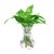 3个9.9元 加厚玻璃花瓶透明北欧ins风创意水培植物绿萝水养插花器(24折纸+钻石+枫叶（透明） 中等)第5张高清大图