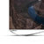 乐视(LETV) 超3 X55  4K电视 55英寸4K智能LED液晶 超高清网络超级智能平板电视(挂架版（40个月会员）)第5张高清大图