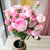 北京杭州居家鲜花 办公室鲜花 按月送花 玫瑰鲜花速递同城送包月鲜花(粉红色)第5张高清大图