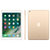 苹果（Apple）iPad 9.7英寸平板电脑 128G WLAN版 A9芯片 Retina Touch ID WIFI(金色)第2张高清大图