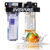 美国爱惠浦（Everpure）2FC-S(升级款)直饮净水机 净水器 套装机