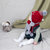 牛奶朋友 冬季宝宝护耳毛线帽纯色儿童防寒套头帽婴儿毛线帽(蓝色（帽子+围巾）)第4张高清大图