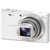 索尼（SONY） DSC-WX350 数码相机  1800万像素 20倍变焦(白色 套餐一)第5张高清大图