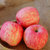 陕西洛川红富士苹果 脆甜多汁 产地直发(5斤装)第2张高清大图