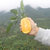 赣南脐橙原产地直发新鲜采摘橙子【甜度14-15】顺丰包邮（偏远地区不包邮）(9斤装)第3张高清大图