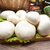 现采现发 新鲜双孢菇口蘑白蘑菇食用菌煲汤烧烤天然绿色蔬菜蘑菇(精选250g)第5张高清大图