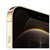 Apple iPhone 12 Pro Max (A2412)  支持移动联通电信5G 双卡双待手机(金色)第2张高清大图