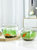 9.8元2个生态小鱼缸微景观四季水培植物草种子玻璃插花瓶创意摆件(中等)第5张高清大图