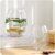 透明玻璃绿萝花瓶A893恐龙蛋水培花瓶瓶子富贵竹水养植物容器lq0800(恐龙蛋15)第3张高清大图