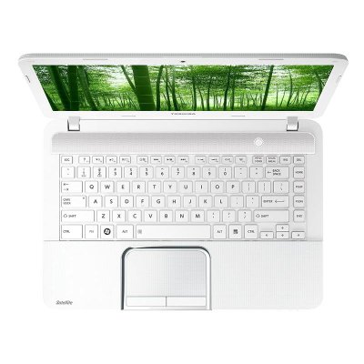时尚丽人笔记本电脑推荐：东芝L800-C19W笔记本电脑