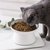 猫咪陶瓷碗猫碗宠物专用大号高脚猫粮食盆保护颈椎狗盆加菲猫宽口(默认 大号竖纹猫碗（鱼骨）)第4张高清大图