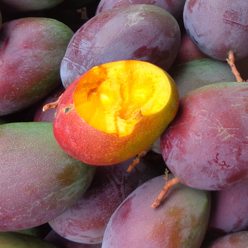 新鲜水果四川攀枝花吉禄芒苹果芒香甜多汁8斤装包邮