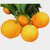 脐橙 金堂脐橙 新鲜橙子 应季水果(2斤)第3张高清大图