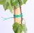 俊采云JYXXA99园林园艺扎带扎线 自带切割器  包胶捆扎绳 爬藤花用园艺线 捆扎绳100米（单位：卷）(绿色 JYXXA99)第5张高清大图