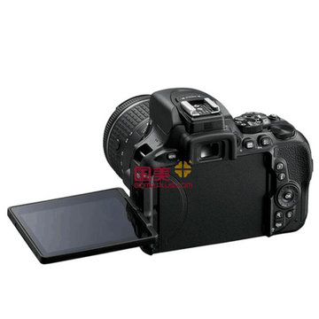 尼康（Nikon）D5600单反相机 套机/单机身   18-55mm(官方标配)