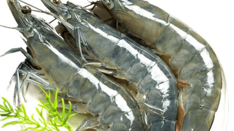 环球之鲜盐田大虾26斤鲜超大海捕盐田大虾南海鲜冷冻3040