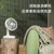 韩国大宇（DAEWOO）空气循环扇-C20/21/30/31 电风扇家用风扇多功能涡轮办公室台式母婴台扇空气循环扇(循环扇遥控-C31 绿色)第2张高清大图
