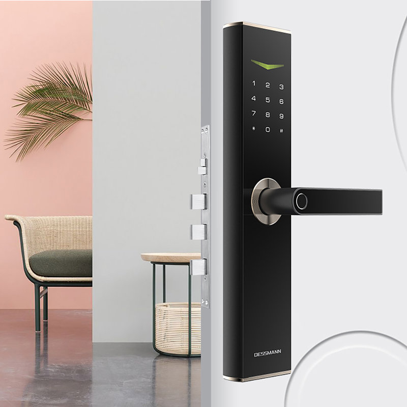 德施曼v6磨砂黑