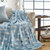 LOVO家纺  空调毯法兰绒毯休闲毯盖毯 特丽斯 150*200cm(特丽斯 空调毯法兰绒毯)第2张高清大图