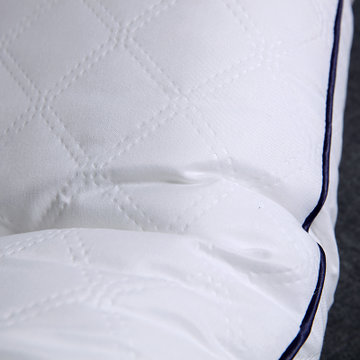 黛丝丹奴 新品热熔棉枕芯家用定型枕头可水洗护颈枕学生酒店单人枕(热熔水洗枕白色一只)